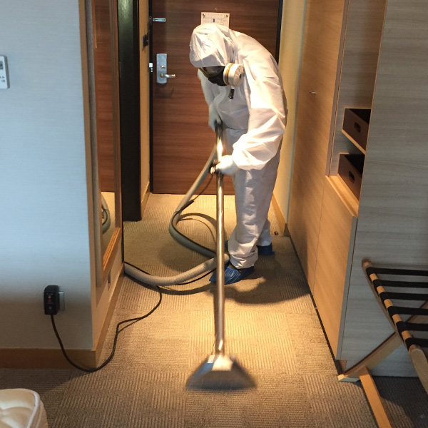 Disinfection Service | Carpet Cleaning